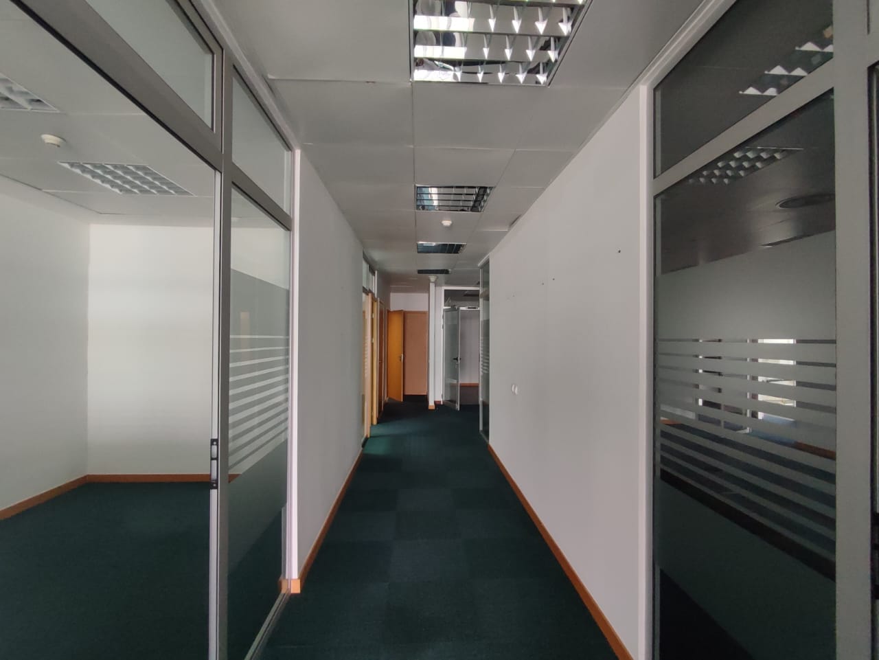 366332784_955053432411564_7148085379225347109_n