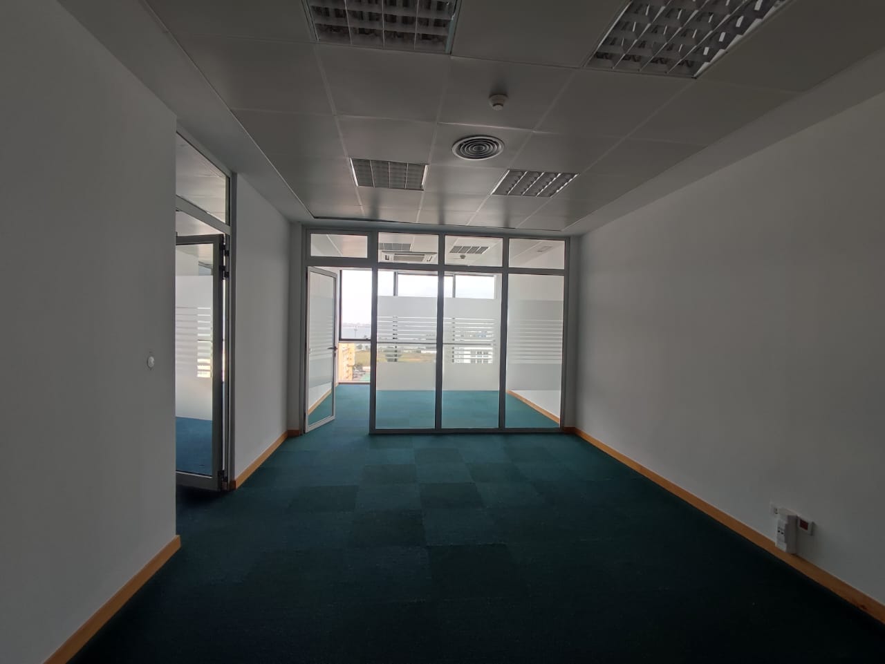 368633827_955053395744901_3741245076028024802_n