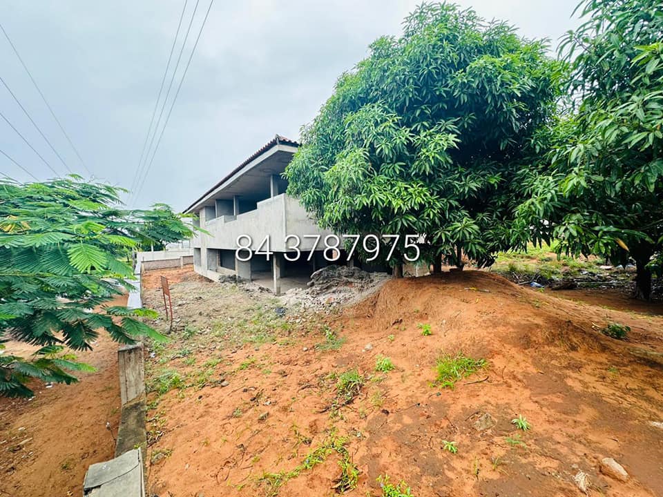 430138232_1069583667625206_4694193637903286428_n