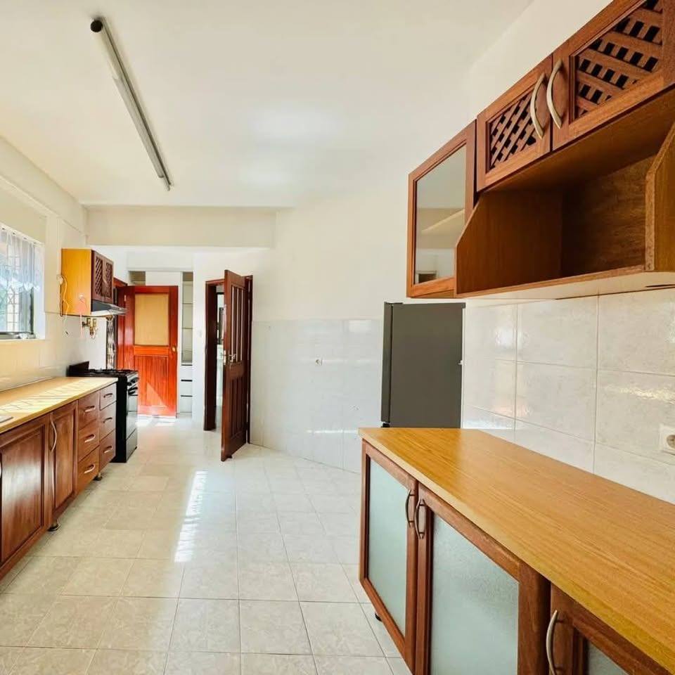 480781104_1301287181121519_3444617803321654340_n