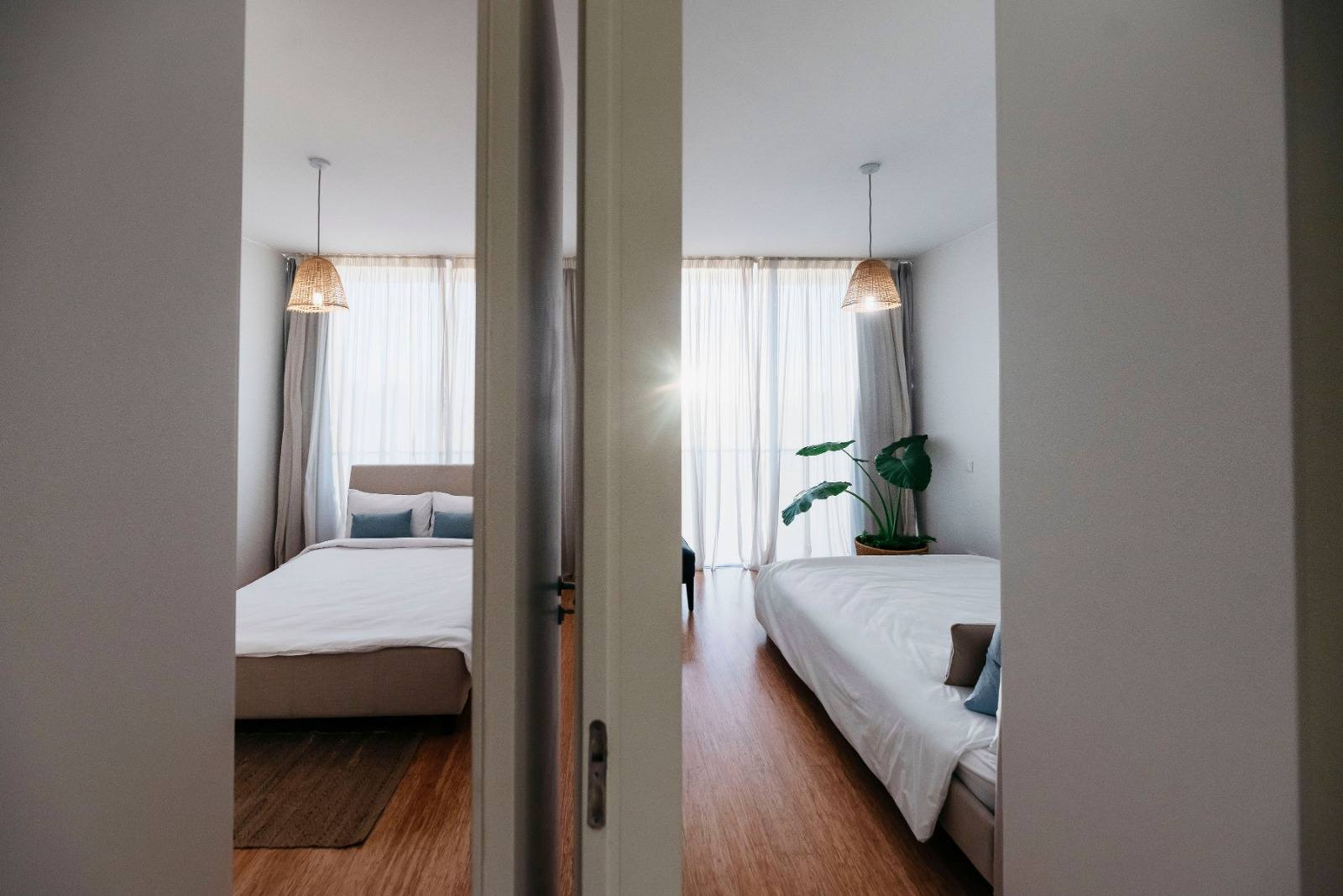 490021757_1333402411243329_2235391801742378930_n