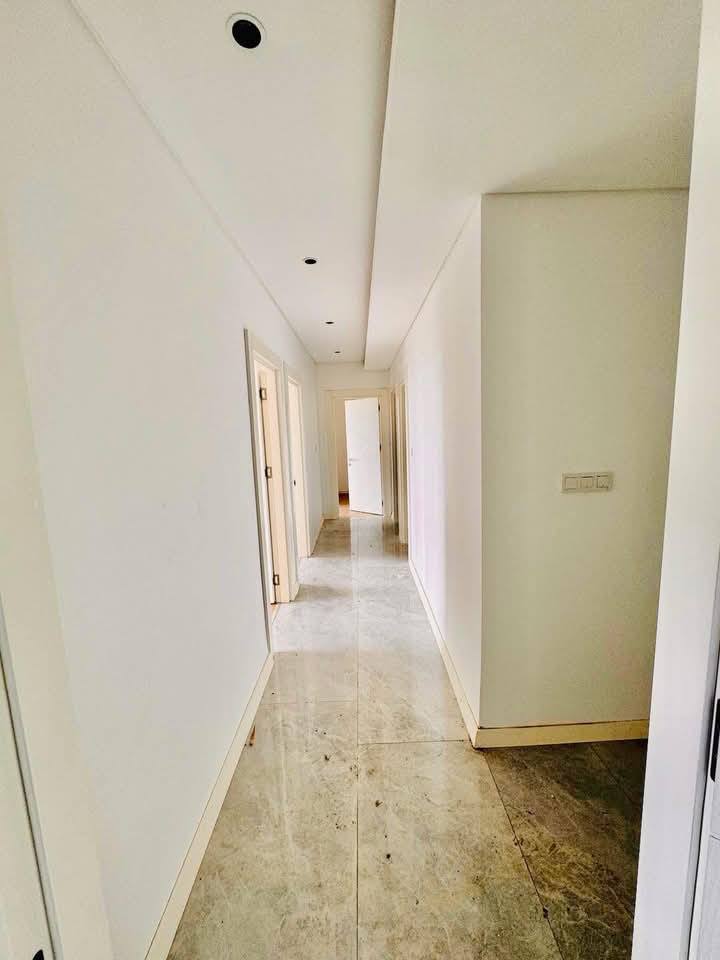 496297628_1353932412523662_4526570080414335063_n