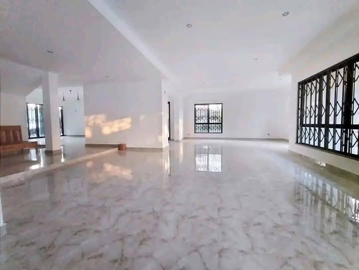 500716817_1369566014293635_1573791135724456664_n