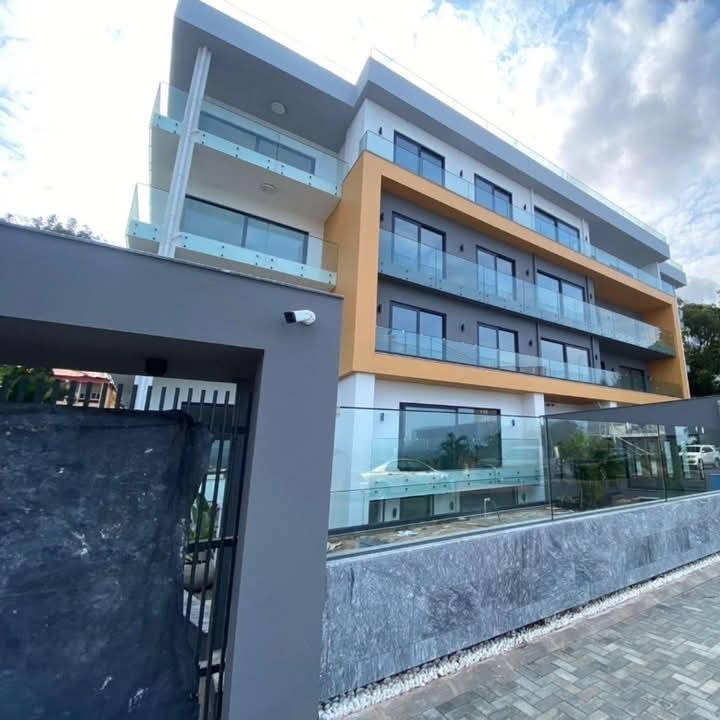 501204792_1369573060959597_4499825627119757898_n