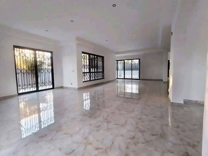 502435786_1369566054293631_5298916686062032869_n