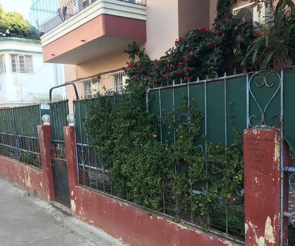 531964480_1430546168195619_2985907970374153957_n