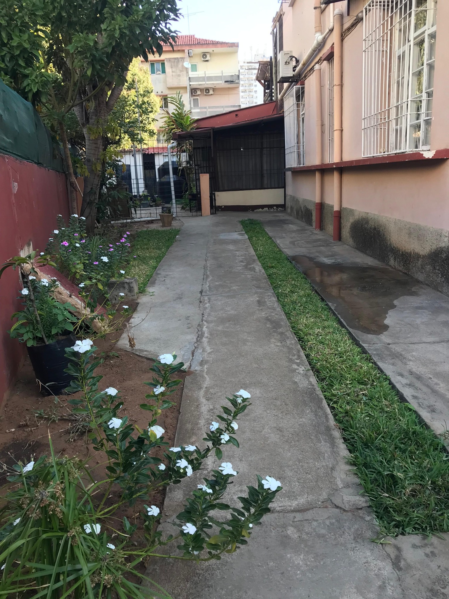 533096267_1430546514862251_3396772450627682614_n