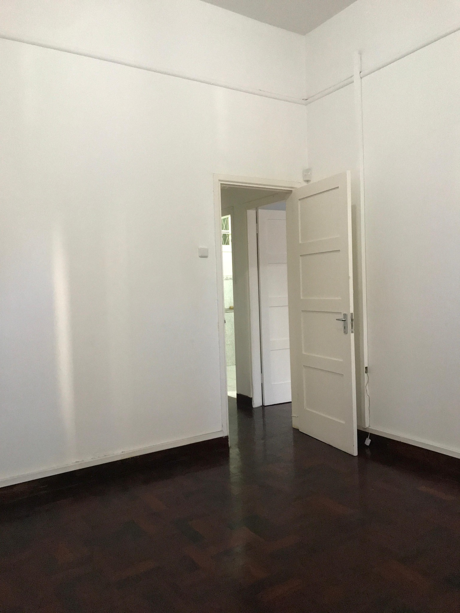 533371140_1430546574862245_8027399063554433114_n