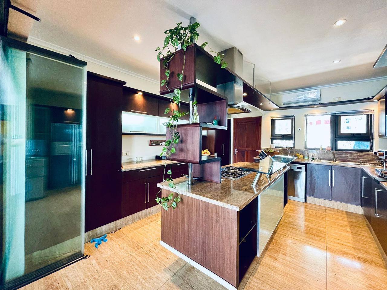 615817799_1559293298654238_6112978268739402889_n