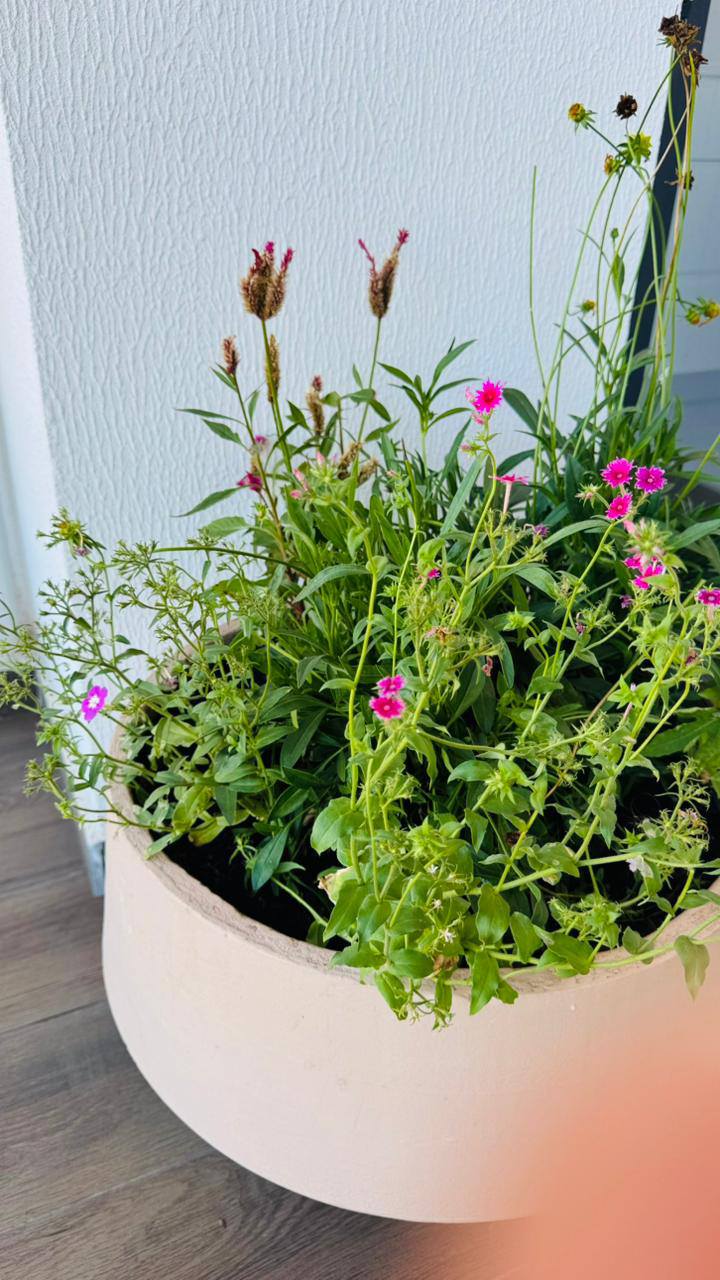 616838212_1559219585328276_5572599402008023426_n