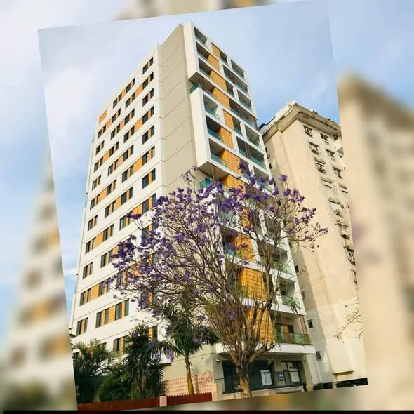 643200322_1588910732359161_8009964660929741715_n